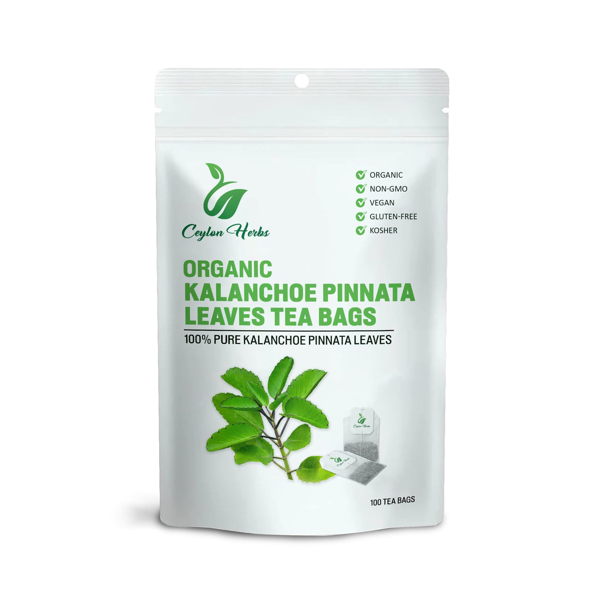 Generic Kalanchoe Pinnata tea bag closeup, pure dried leaves for daily brewing.