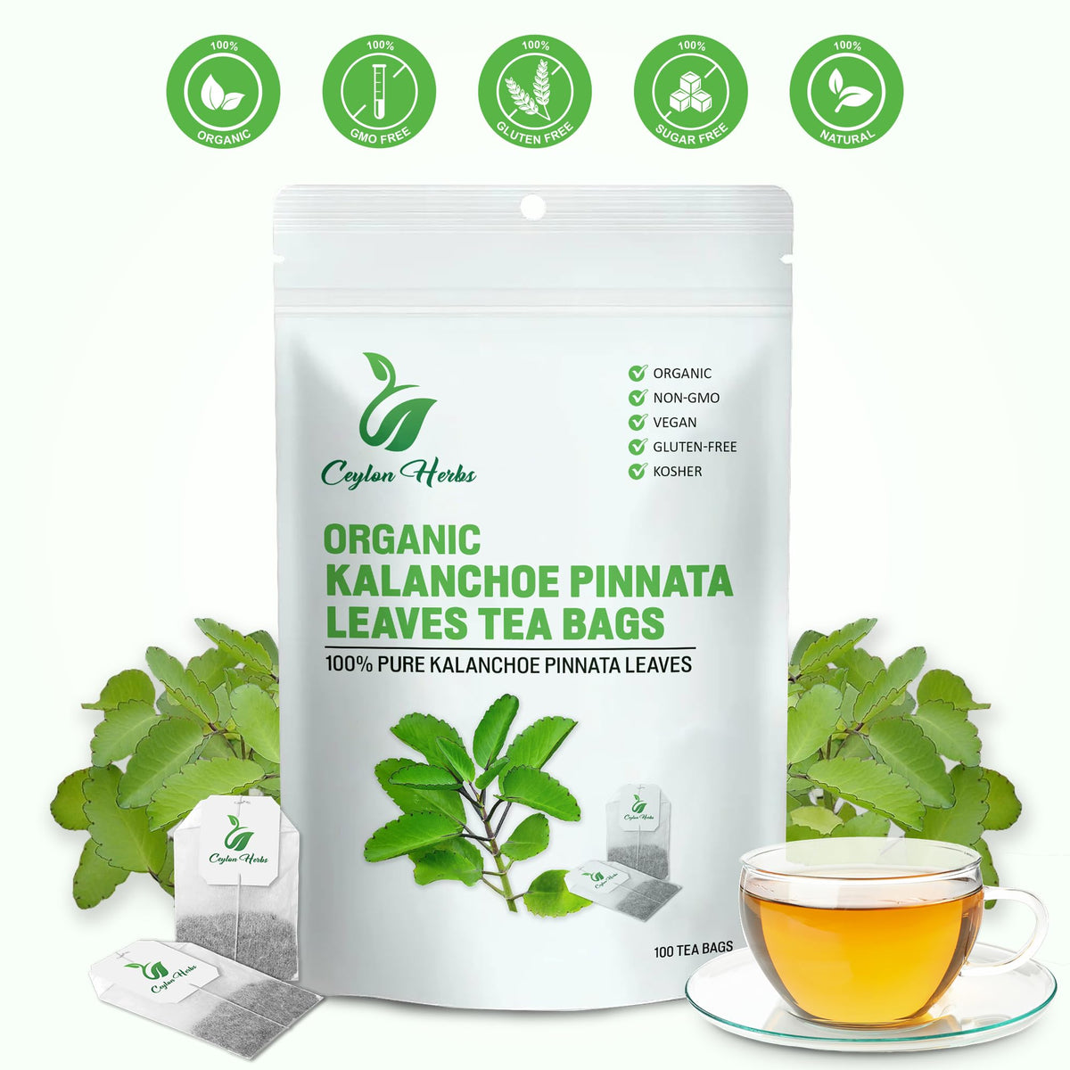 Freshness-sealed packaging of Generic Kalanchoe Pinnata tea bags preserves aroma.