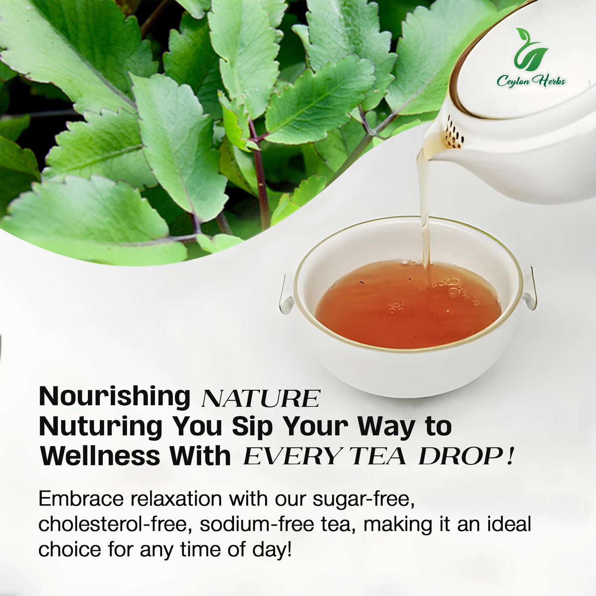 Generic Kalanchoe Pinnata tea bag packaging showing resealable freshness preserves aroma.