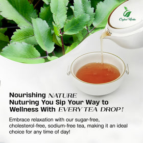 Generic Kalanchoe Pinnata tea bag packaging showing resealable freshness preserves aroma.