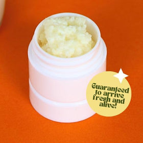Generic Milk Kefir Grains Turkish Strain from ancient techniques