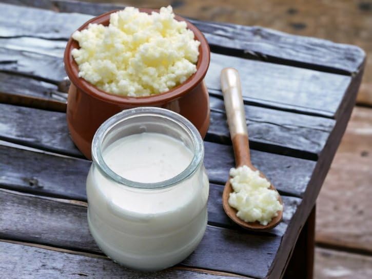 Generic Milk Kefir Grains Starter reusable culture for endless batches