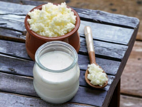Generic Milk Kefir Grains Starter reusable culture for endless batches