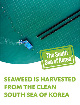 Generic seaweed sheets packed for lunchbox snacks on the go