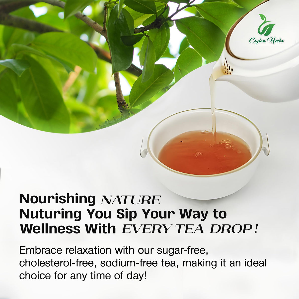 Generic Soursop Leaves Tea Bags natural drying preserves flavor and aroma