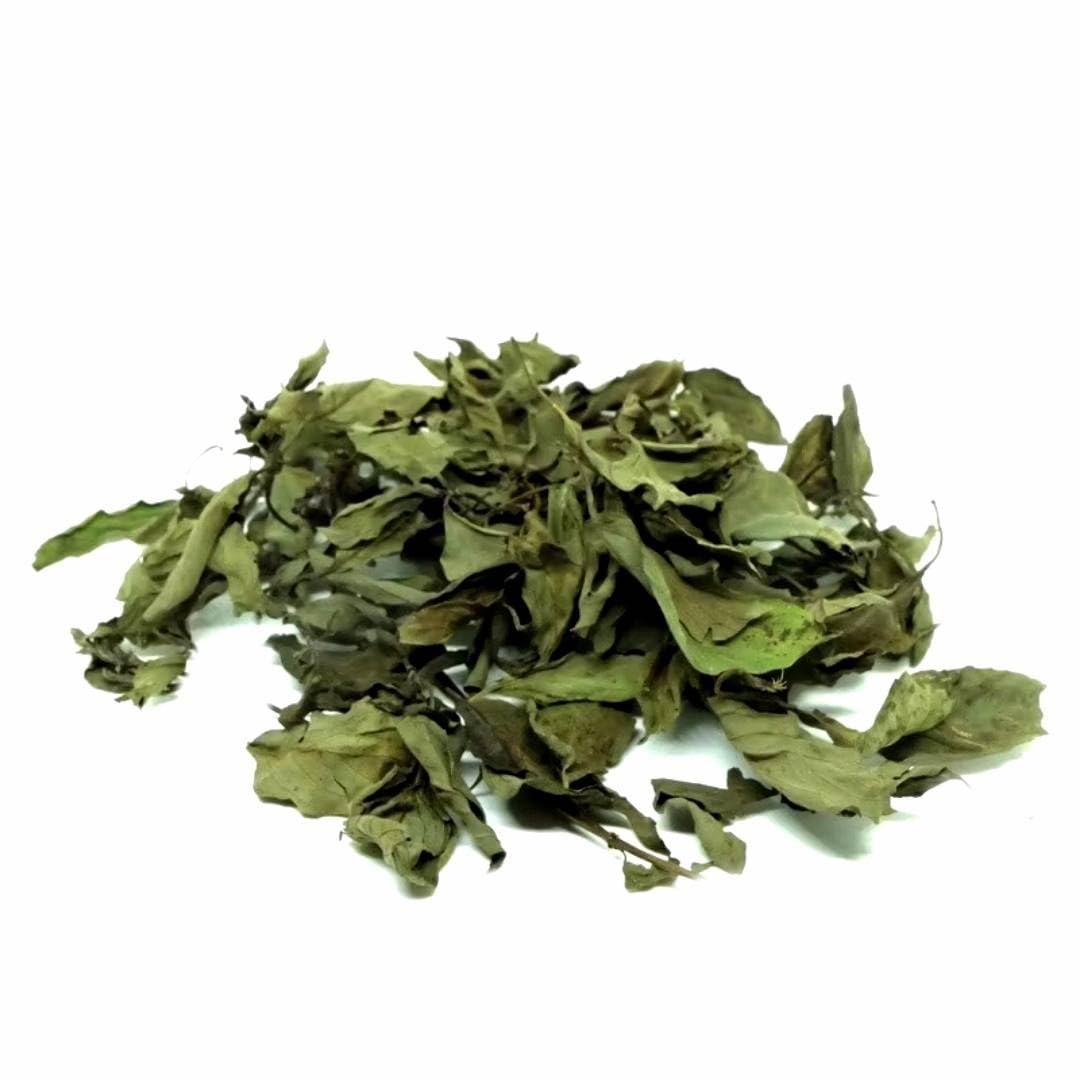 Generic Thai Basil Leaves texture-detail with dried leaves ready to crush
