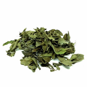 Generic Thai Basil Leaves texture-detail with dried leaves ready to crush