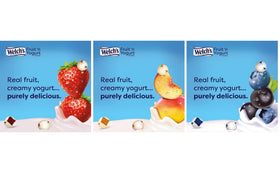 Welch's Fruit 'n Yogurt Snacks variety box highlighting three flavors