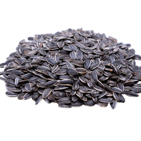 GERBS dry roasted sunflower seeds bag front view for on-the-go snacking