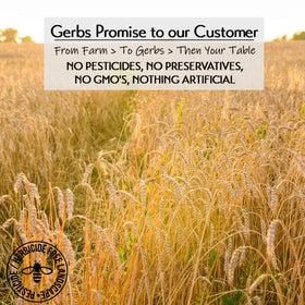 GERBS gluten-free rolled oats in a warm bowl, inviting hearty mornings.
