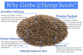 GERBS hemp seeds close-up texture highlights nutty flavor and seed quality.