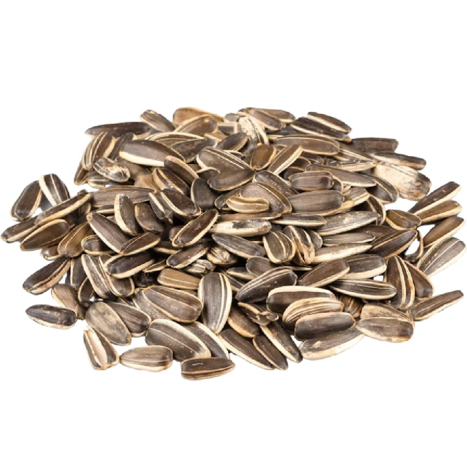 Gerbs jumbo sea salted sunflower seeds pack for fresh, flavorful snacking