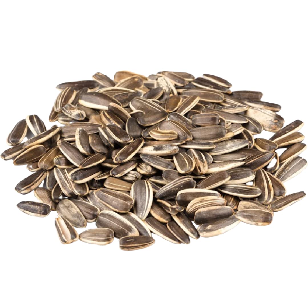 GERBS jumbo unsalted sunflower seeds in-shell package for on-the-go snacking
