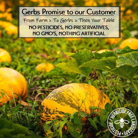 GERBS lightly sea salted pumpkin seeds close-up, crisp roasted flavor.