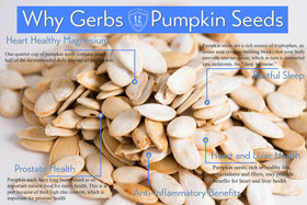 GERBS pumpkin seeds in-shell close-up showing uniform 10.5 mm size and texture