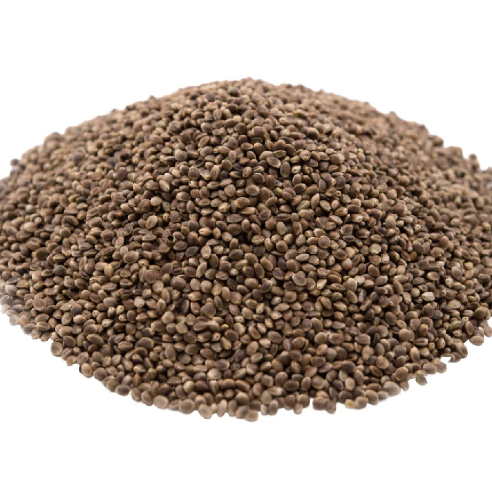 GERBS roasted unsalted hemp seeds in a 2 lb bulk bag, ideal for quick snacks.