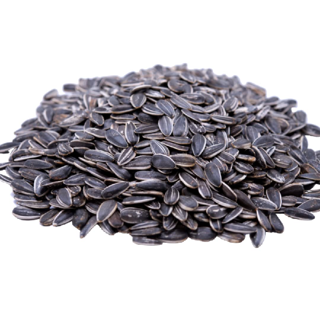 GERBS roasted sunflower seeds bag front view emphasizes freshness