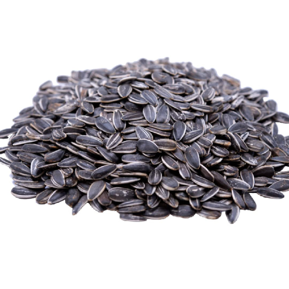 GERBS unsalted sunflower seeds in shell, perfect for snacking