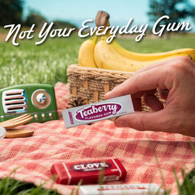 Gerrit’s Teaberry Gum retro label emphasizes classic flavor and enduring appeal.