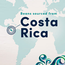 Gevalia snap-cooled beans preserve freshness and aroma.