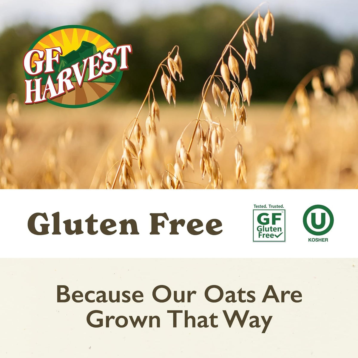 GF Harvest oats on a pantry shelf ready for baking