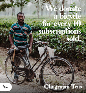 Ghograjan Tea Estate malty aroma cup for energizing mornings.