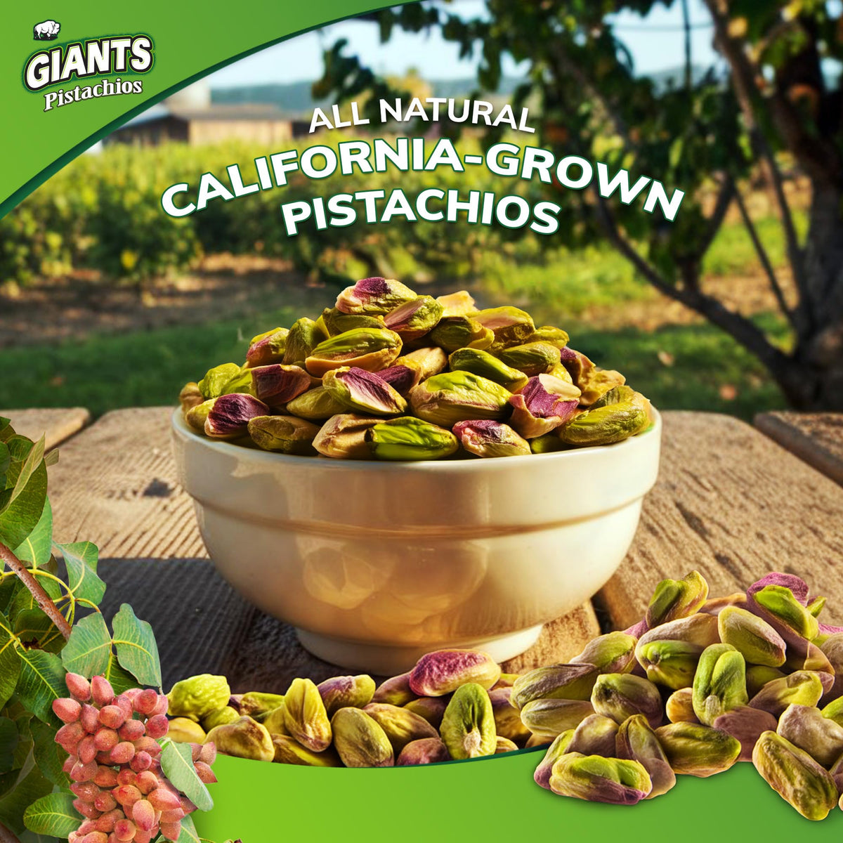GIANTS Go Naked Dill Pickle Pistachios packaging highlights bold dill flavor.