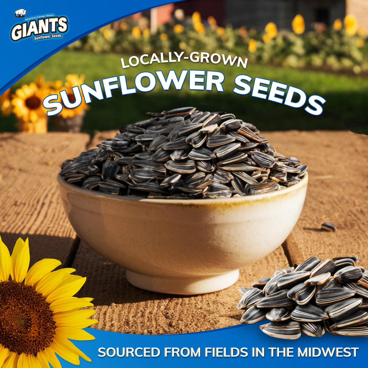 GIANTS Original Sunflower Seeds roasted and salted close-up, crunchy bite