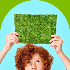 gimMe kids-friendly seaweed snack pack for school lunch