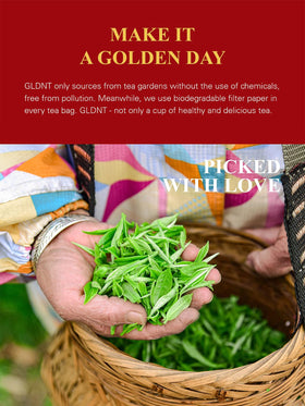 GLDNT brew cup reveals robust flavor ideal for morning rituals.