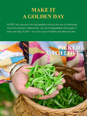 GLDNT brewed tea in a cup reveals delicate aroma and smooth taste.