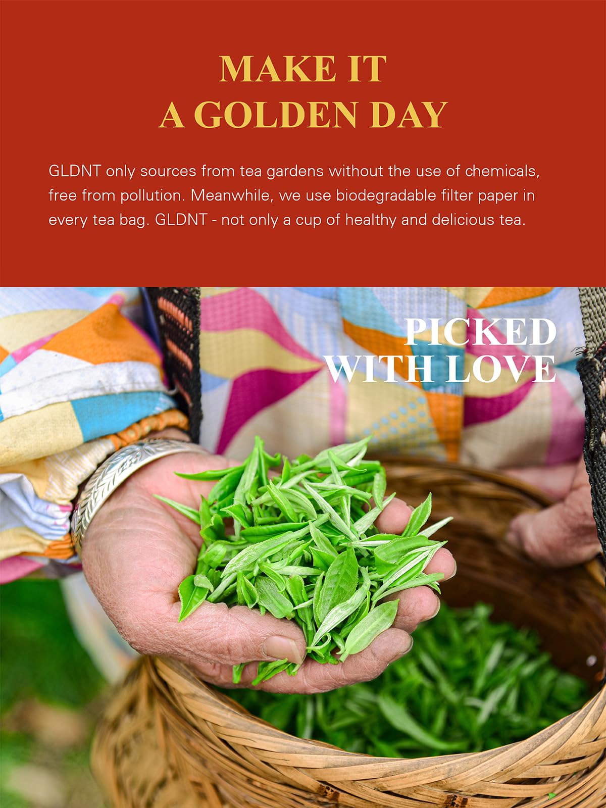 GLDNT Pu-erh fermentation process creates depth and smoothness for daily sips.