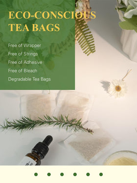 GLDNT ginger tea brew steams from a cup with warm, inviting spice.