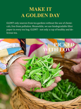 GLDNT High-Mountain Green Tea fields scene, emphasizing natural origin and purity.