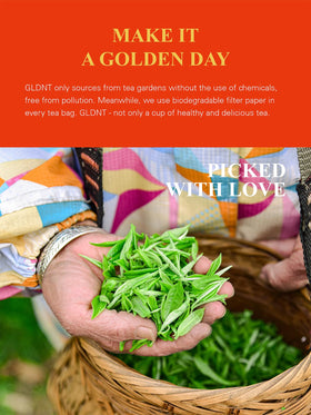 GLDNT non-GMO plant fiber tea bags close-up shows compostable material