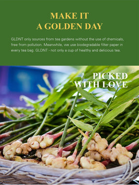 GLDNT organic ginger bags feature no strings or tags for mess-free brewing.