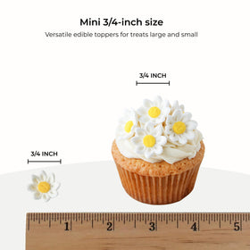 Global Sugar Art protected packaging ensures edible daisies arrive intact.
