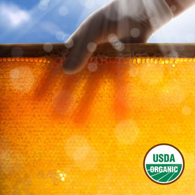GloryBee family owned brand supporting Save The Bee initiative.