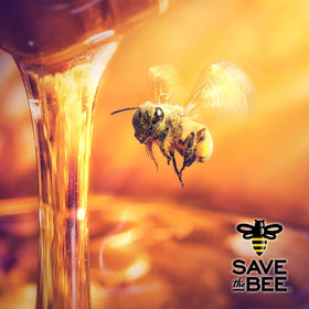 GloryBee organic honey label with USDA Organic and Non-GMO certification.