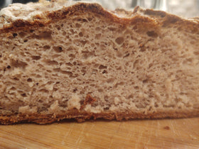 Glutenfreeee ingredients closeup highlights whole grains and texture.