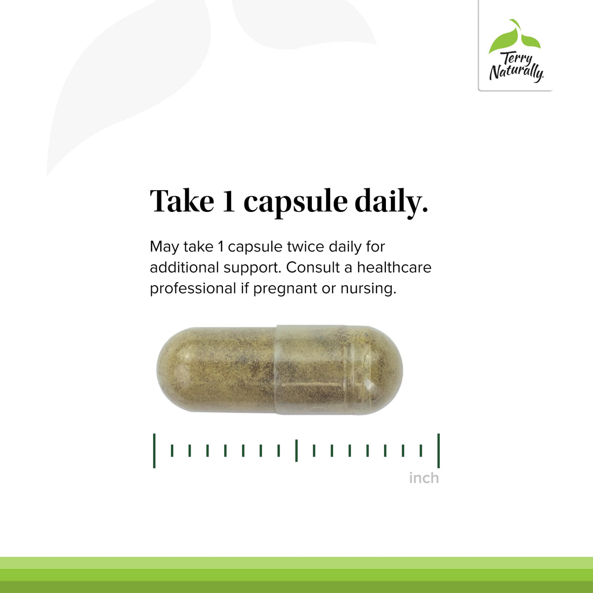 GMT23 bacopa capsule inside emphasizes brain health support and attention to detail.
