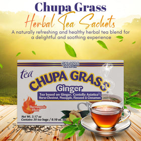 GN+Vida Chupa Grass tea with gotu kola promotes balanced wellbeing.