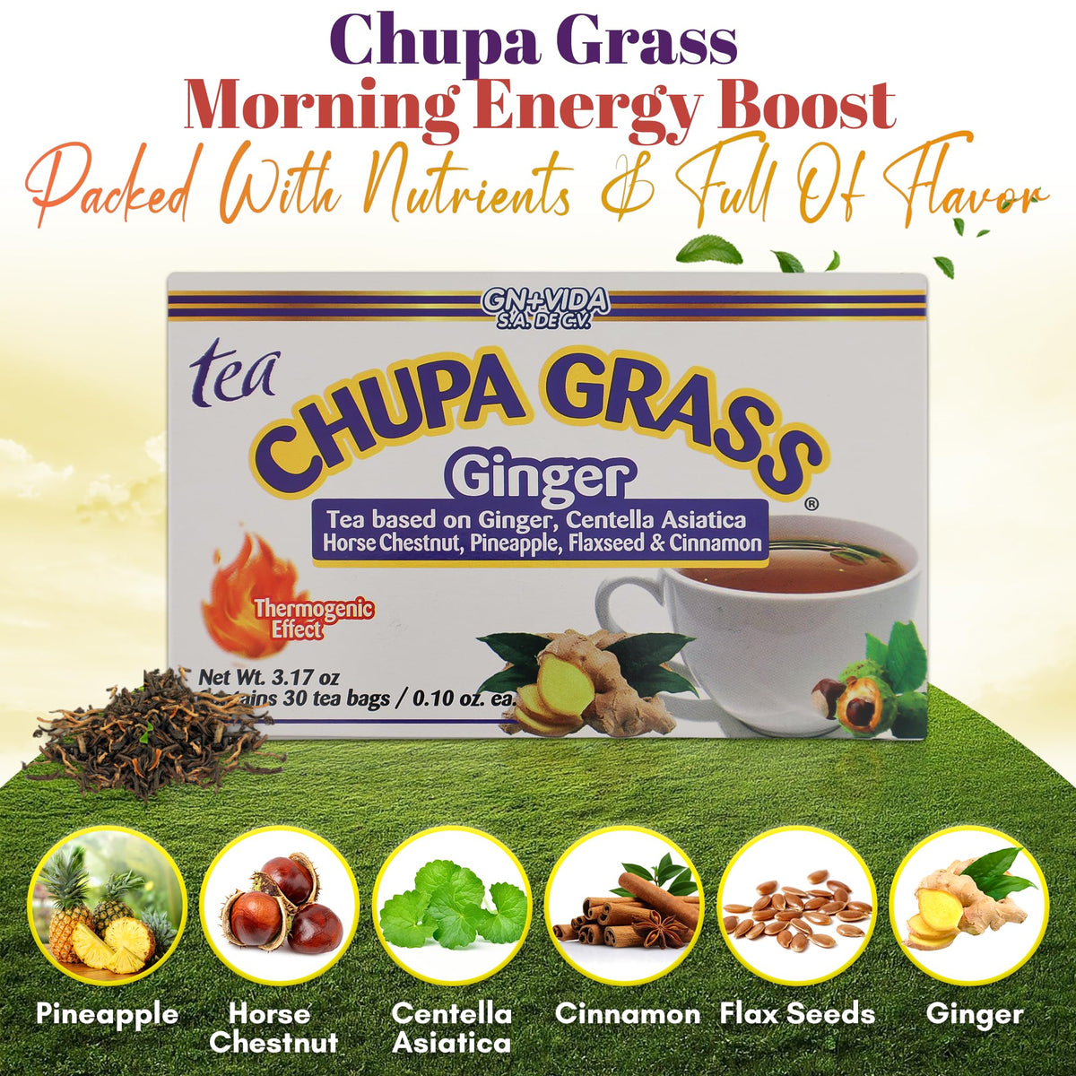GN+Vida Chupa Grass pineapple flavor tea bag ready to brew.