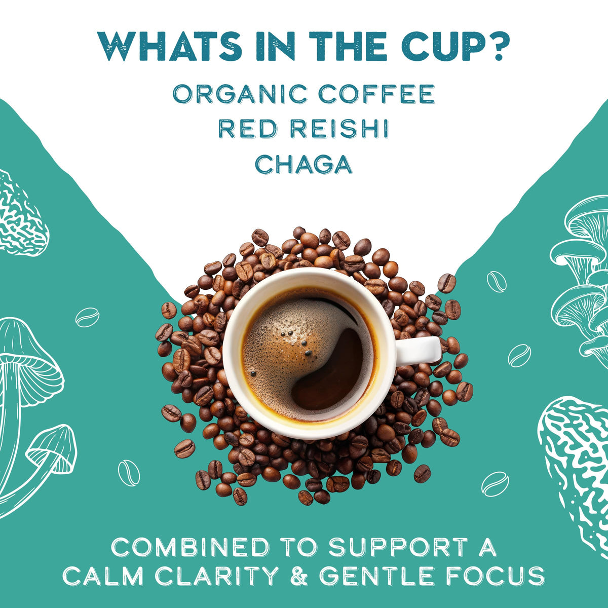 Peruvian single-origin Grade 1 beans for a clean, bright cup.