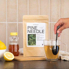 Go Natural Pine Needle Tea box packaging showcasing 20-count pack and natural origin.
