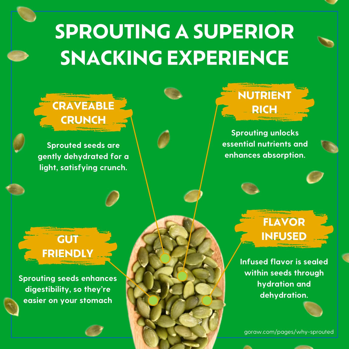 Go Raw organic sprouted watermelon seeds presented as a light, savory snack with vitamins.