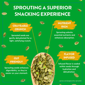 Go Raw organic sprouted watermelon seeds presented as a light, savory snack with vitamins.