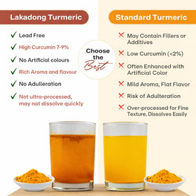 Go-Yogik Lakadong turmeric powder packaging — small-batch authenticity for mindful cooks.