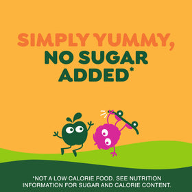 GoGo SqueeZ Boulder Berry pouch for fruit and veggie mix on the go