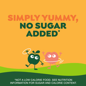 GoGo squeeZ freezer-friendly idea illustrates a cooling snack for lunch boxes.